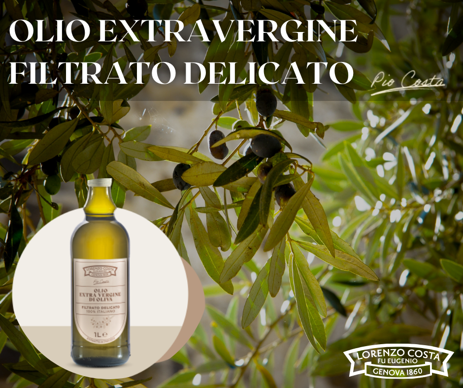 Olio Extravergine d'Oliva Filtrato Delicato Italiano